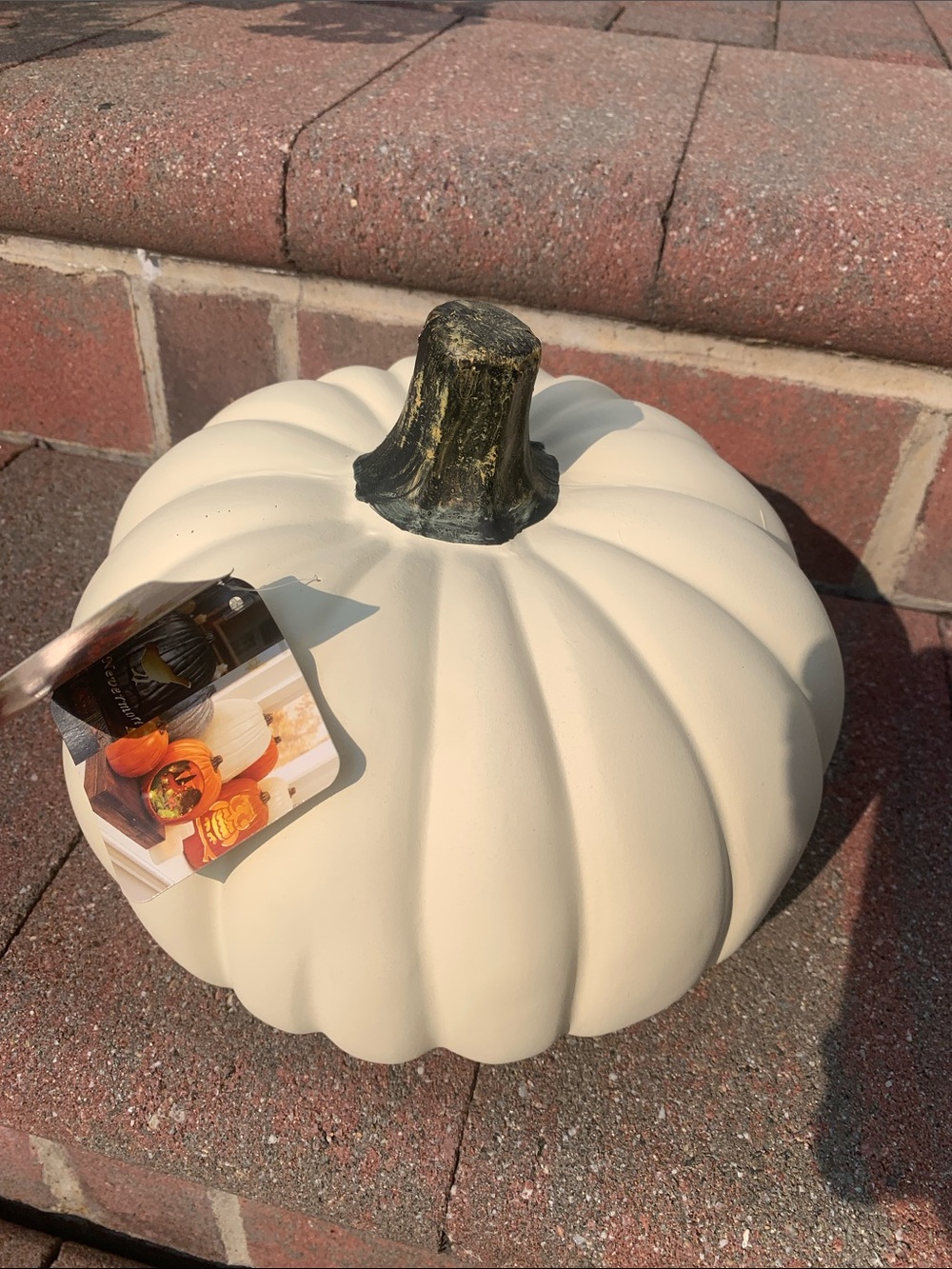 🆕- Ashland Cream Decorative Pumpkin with Gold Destressed Stem Med Size